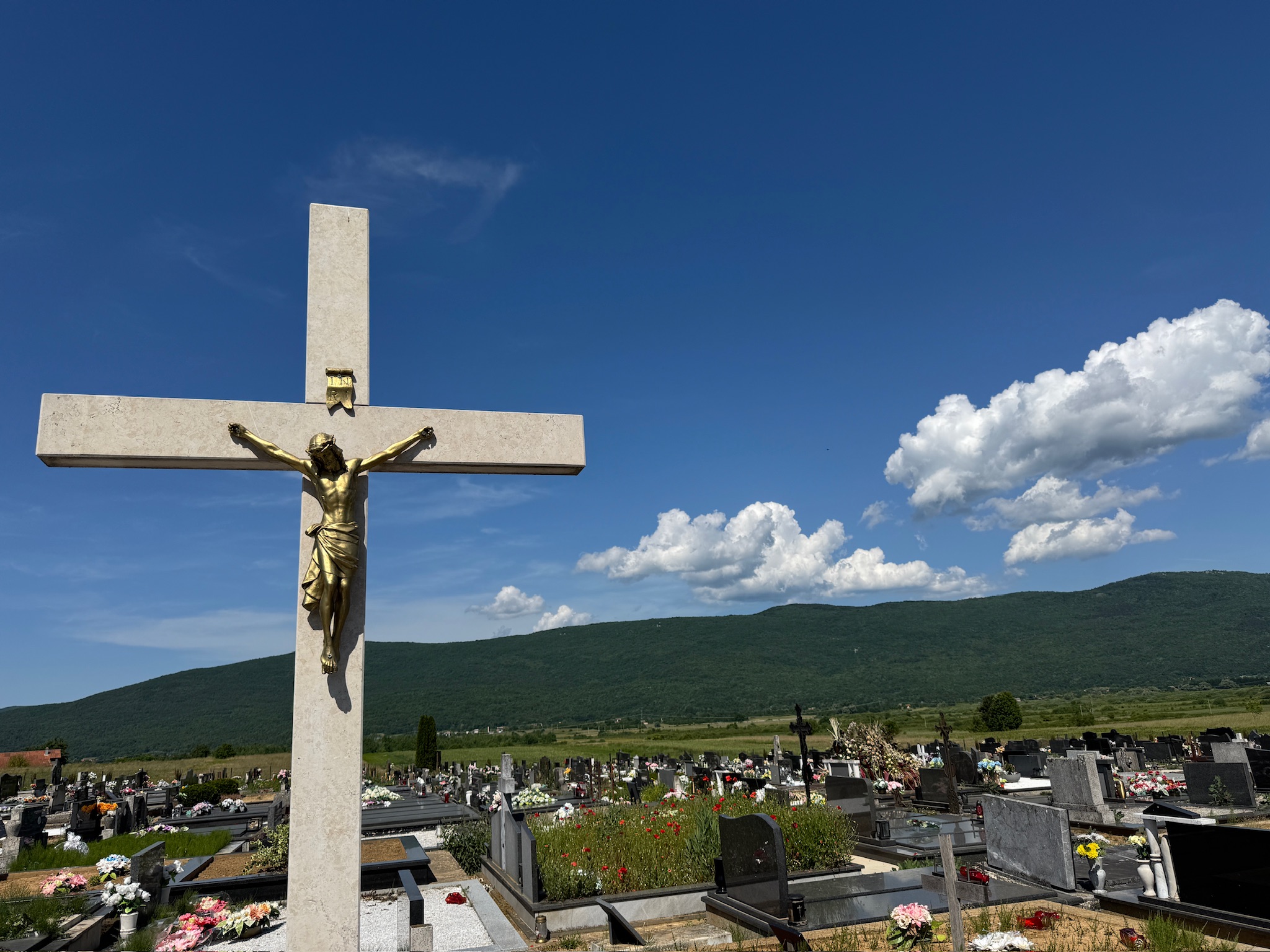 D8E95678-DE55-4ED0-B4C1-150EC254338D